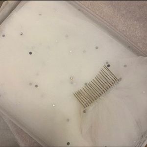 Cathedral wedding veil